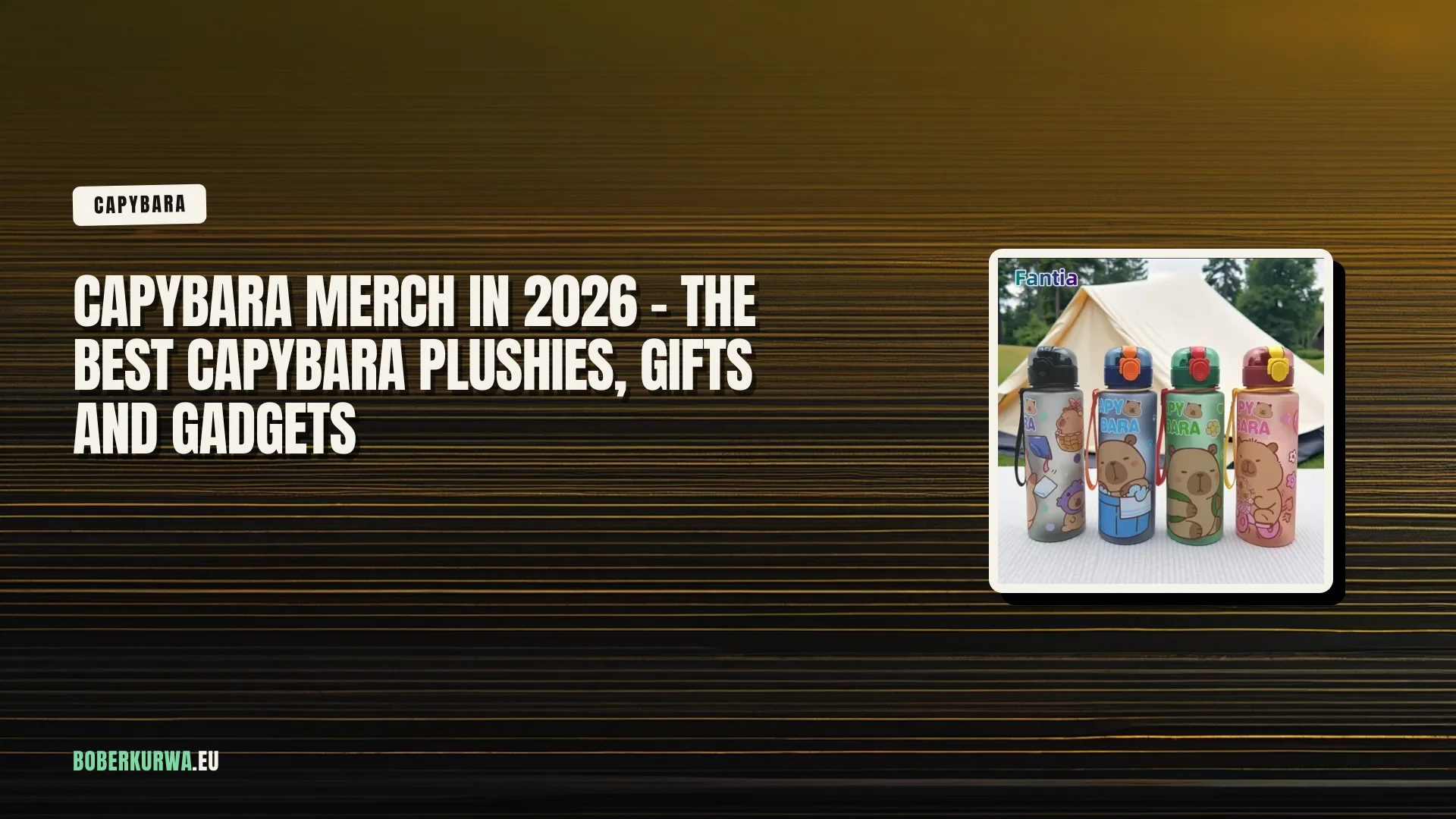 Capybara merch in 2026 - the best capybara plushies, gifts and gadgets