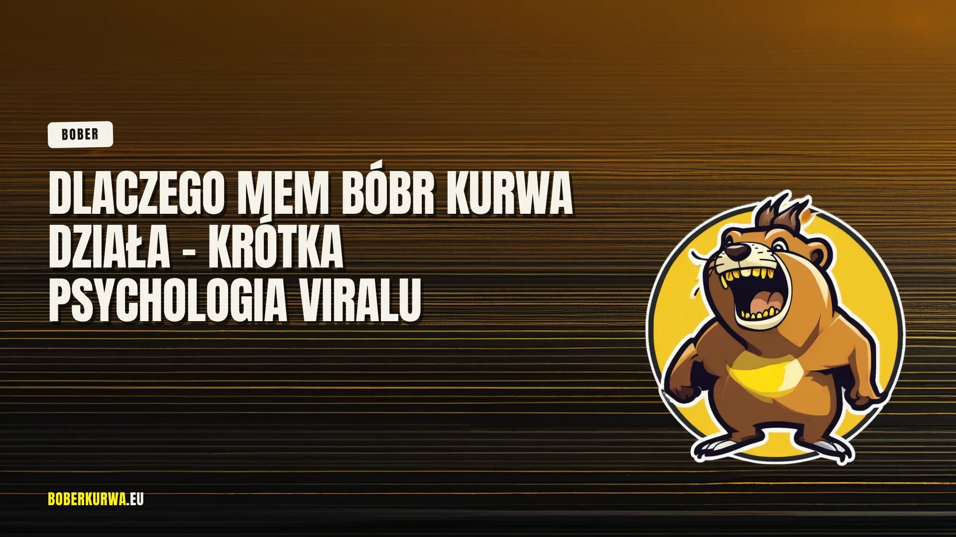 Dlaczego mem bóbr kurwa działa - krótka psychologia viralu