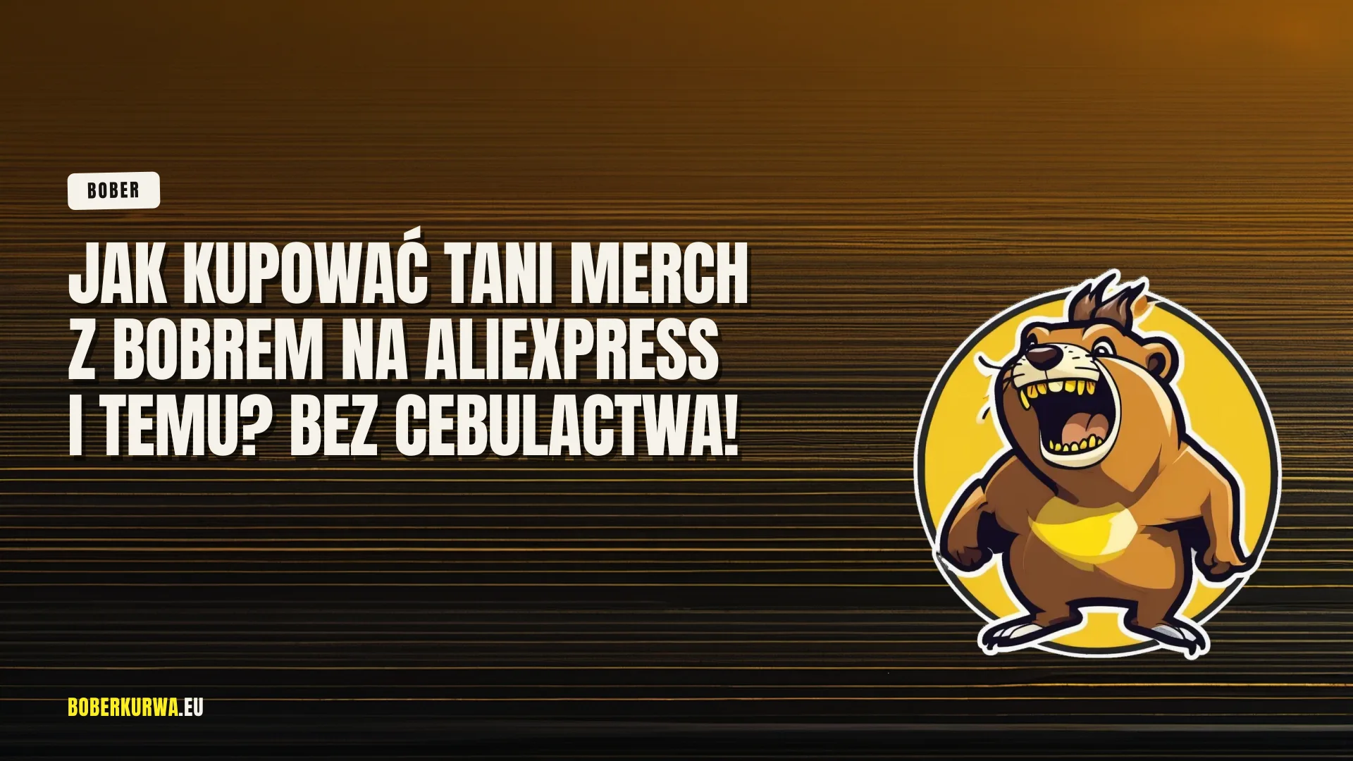 Jak kupować tani merch z Bobrem na AliExpress i Temu? Bez cebulactwa!