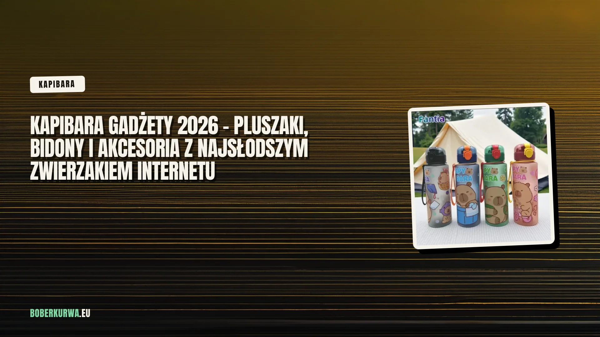 Kapibara gadżety 2026 - pluszaki, bidony i akcesoria z najsłodszym zwierzakiem internetu