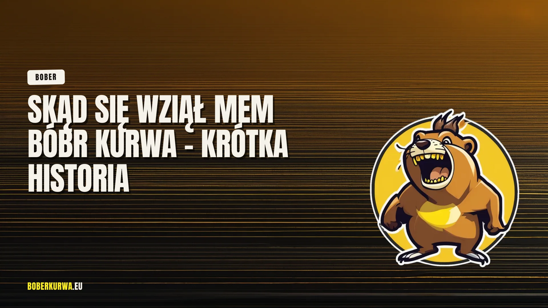 Skąd się wziął mem bóbr kurwa - krótka historia
